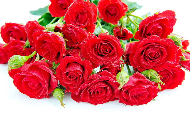 Red Button Roses (Small Roses) 1 Kg சிவப்பு ரோஜா