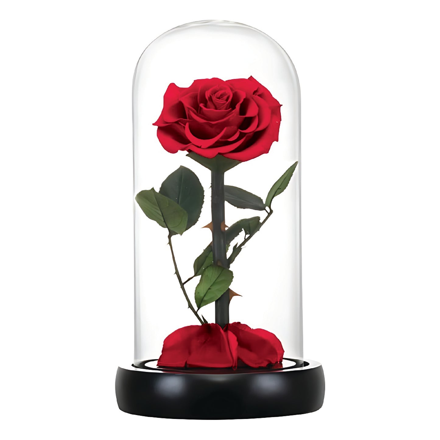 Roxy Pink Infinity Rose (Forever Rose)