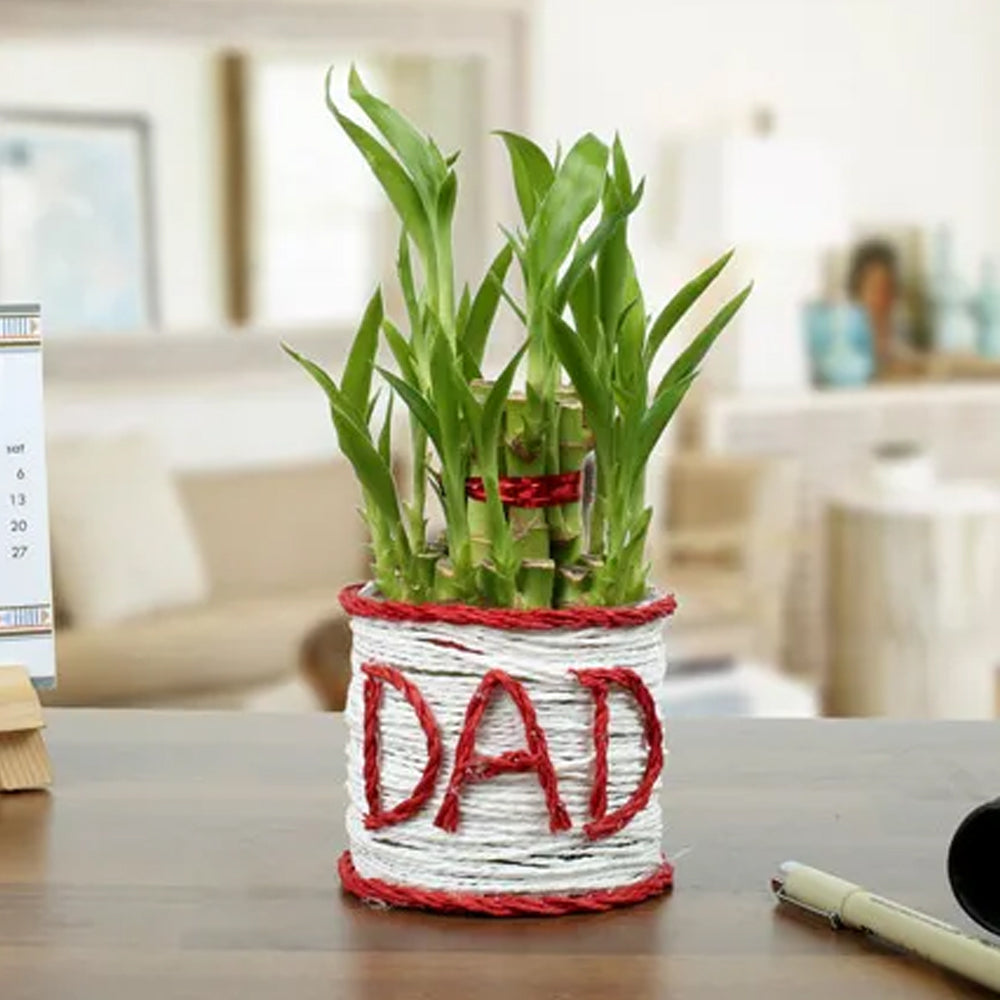 Father's Day - A Lucky Gift For Father
