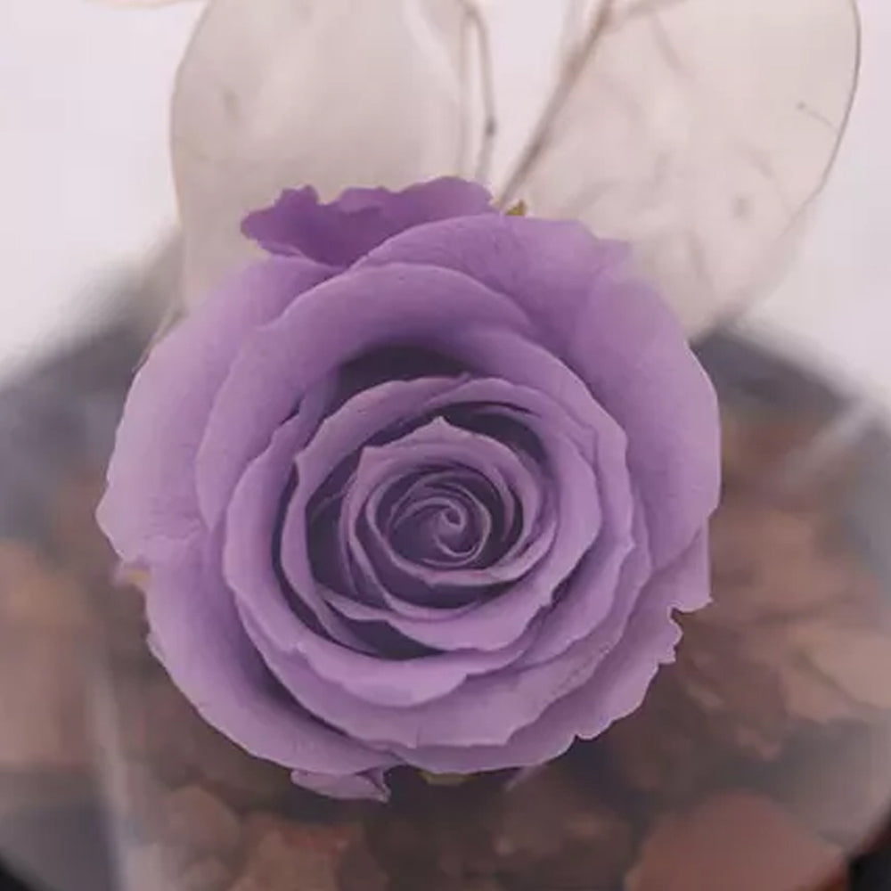 Onam - Purple Forever Rose In Glass Dome