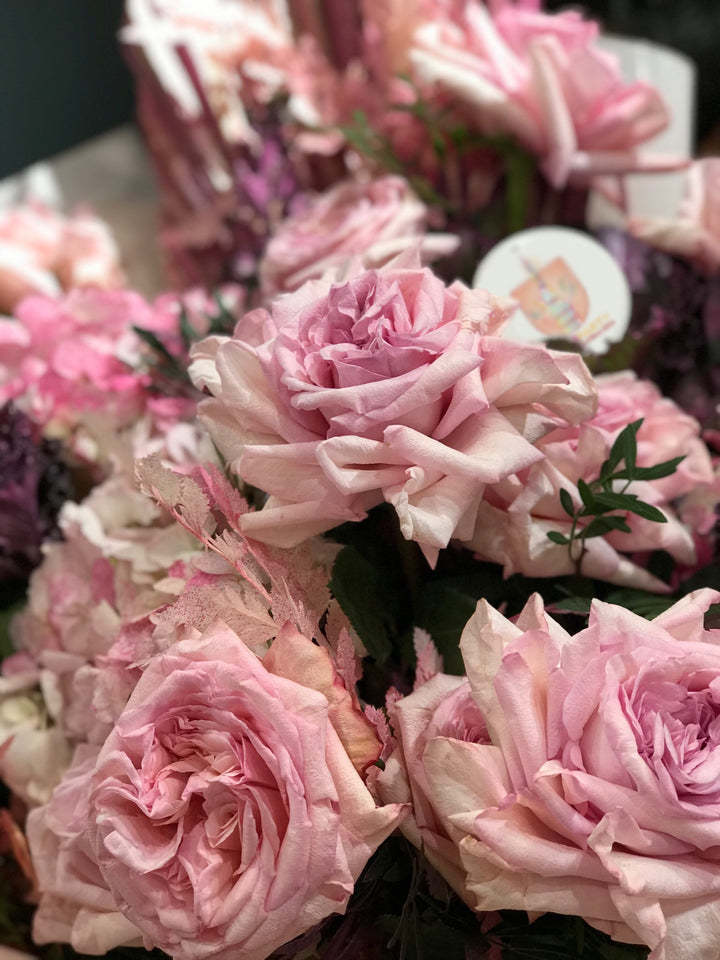 Liliana - The Pink Innocense