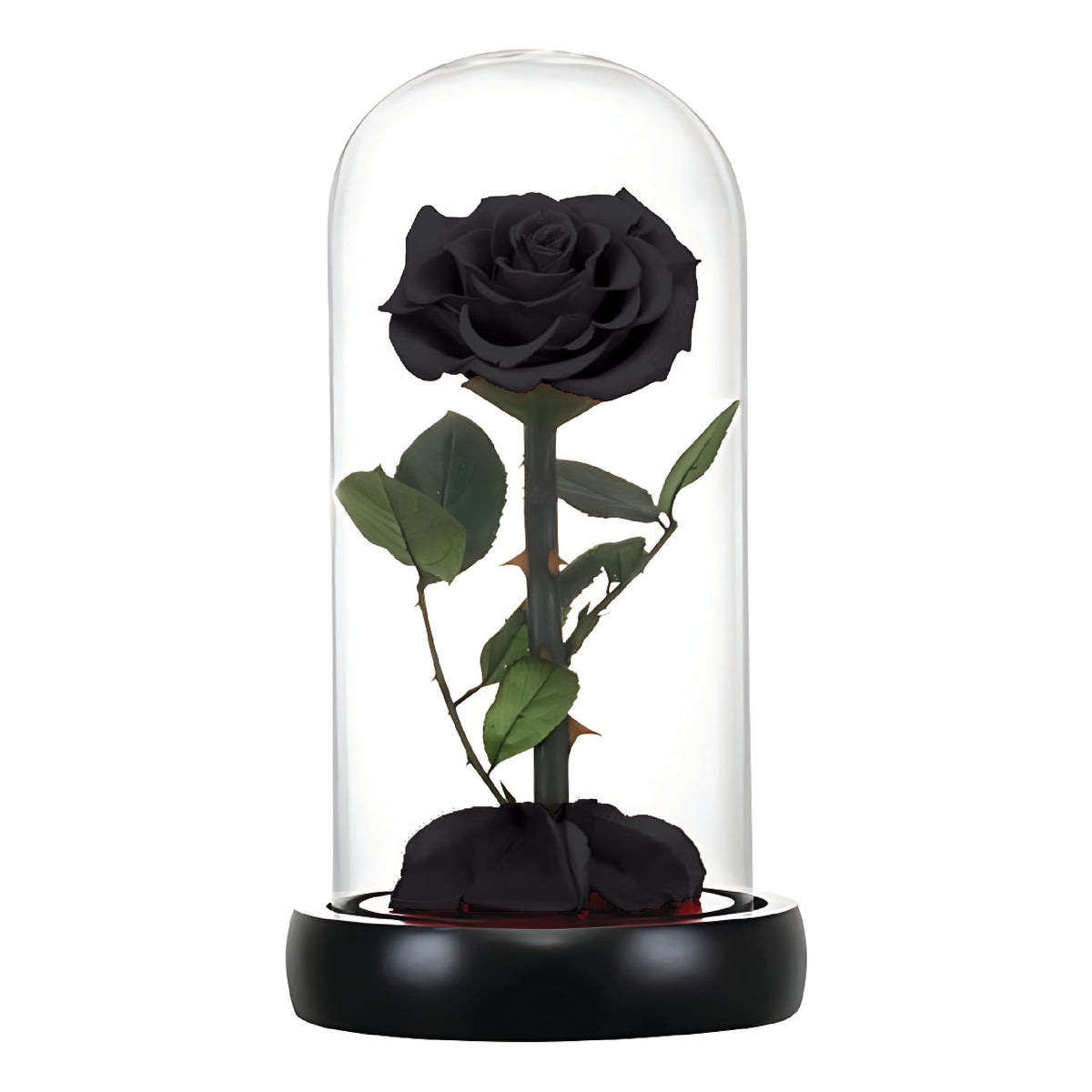 Forever Roses Or Infinity Roses Infinity Rose (Forever Rose) – Al Warda Gallery - Express Delivery in ...