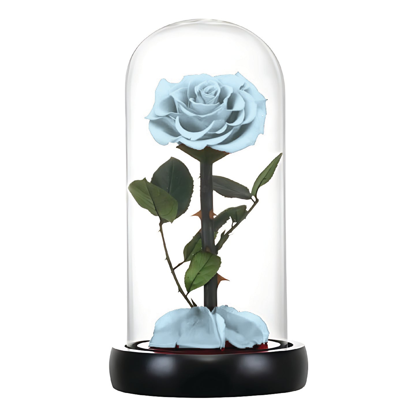 Bright Pink Infinity Rose (Forever Rose)