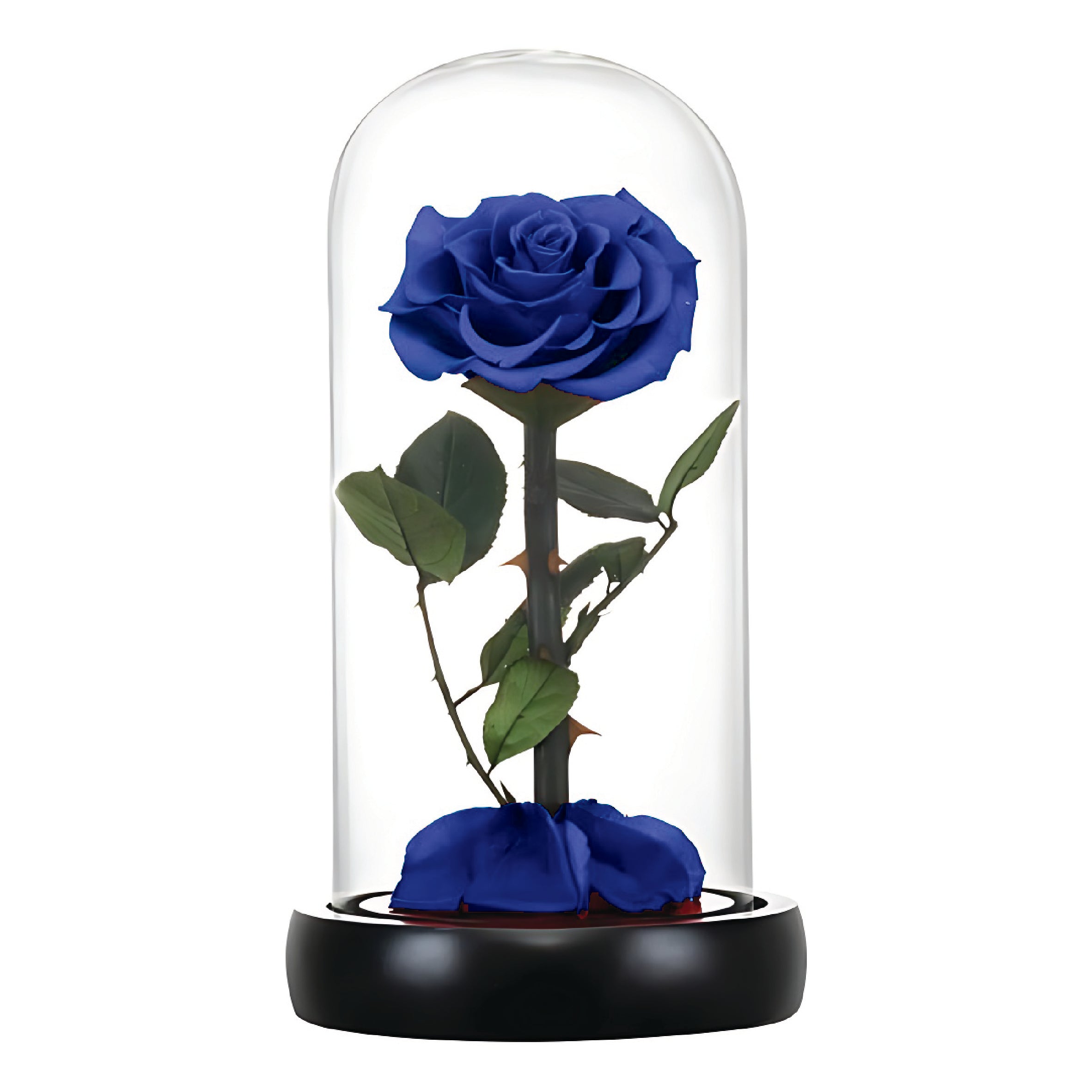 Royal Blue Infinity Rose (Forever Rose) – Al Warda Gallery - Express ...