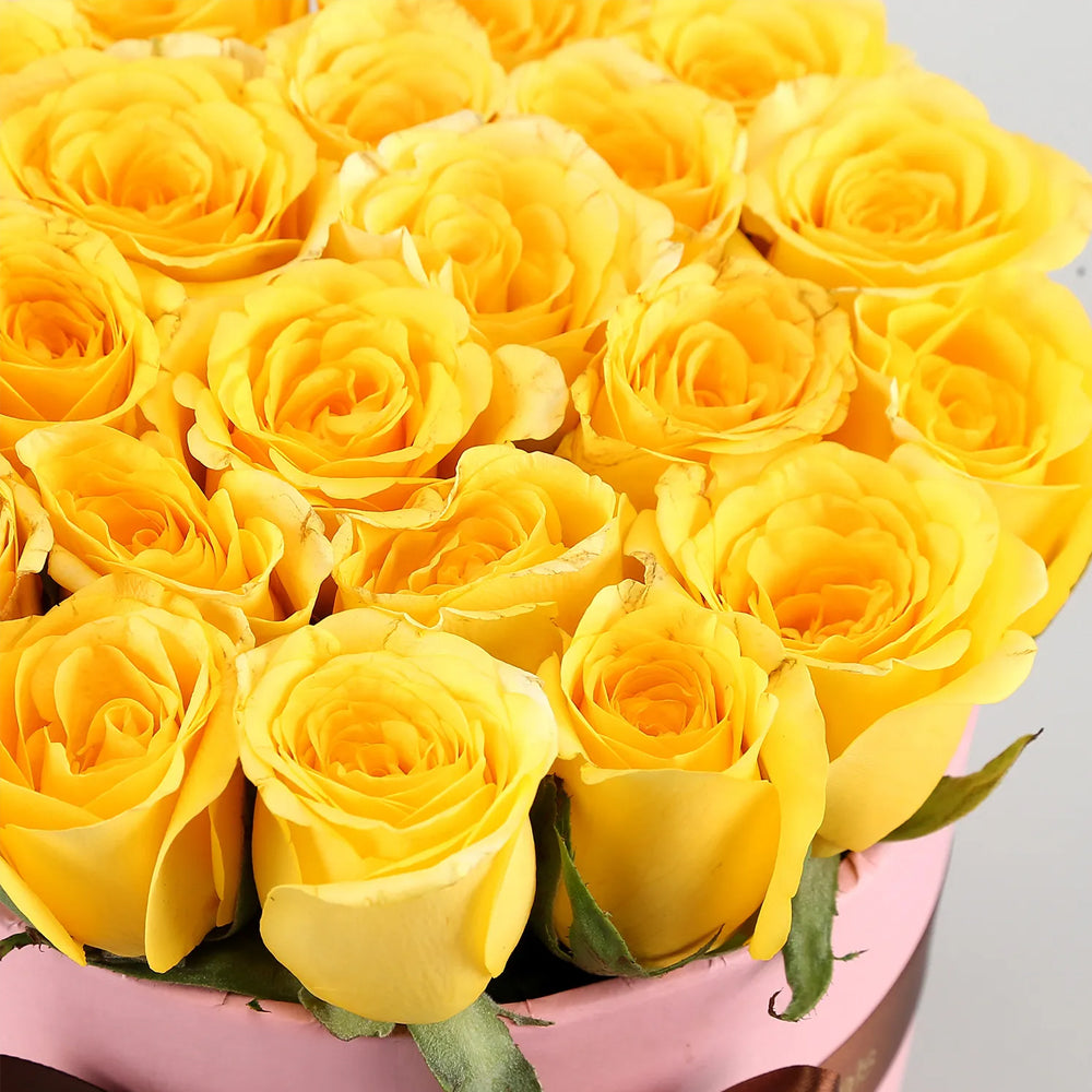 Mother's Day - Radiant 22 Yellow Roses Pink Box
